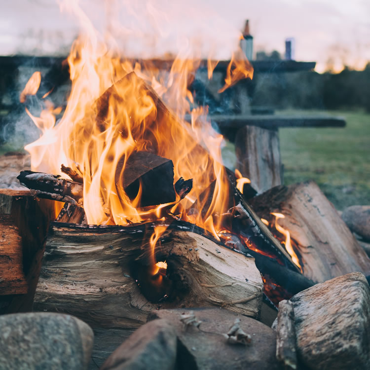 Photo by Mark Tegethoff on Unsplash Photo by Mark Tegethoff on Unsplash